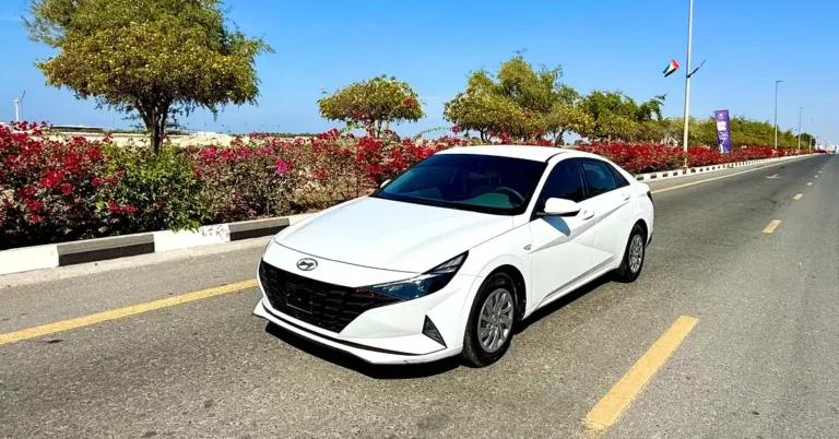 A white Hyundai Elantra is parked on the right side of a paved road with yellow lane markings. The car is facing slightly to the left, with its front end prominently displayed. Behind the car, a lush green bush with vibrant red flowers lines the side of the road.